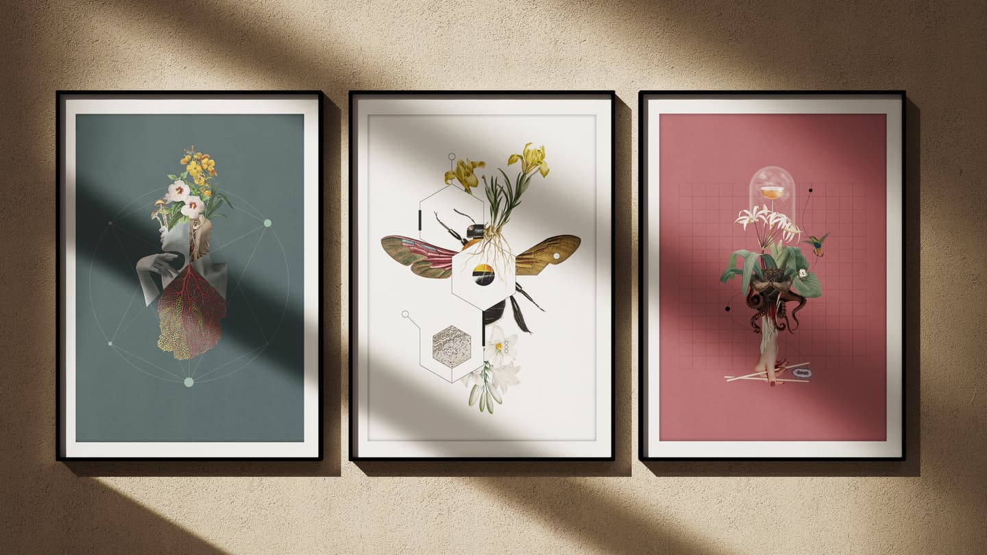 Three framed abstract art prints hang on a textured wall, each combining botanical, human, and animal elements with geometric shapes under directional light.